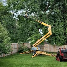 Best Tree Preservation Services  in Leisure World, MD