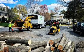 Best Storm Damage Tree Cleanup  in Leisure World, MD