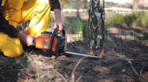 Best Residential Tree Removal  in Leisure World, MD